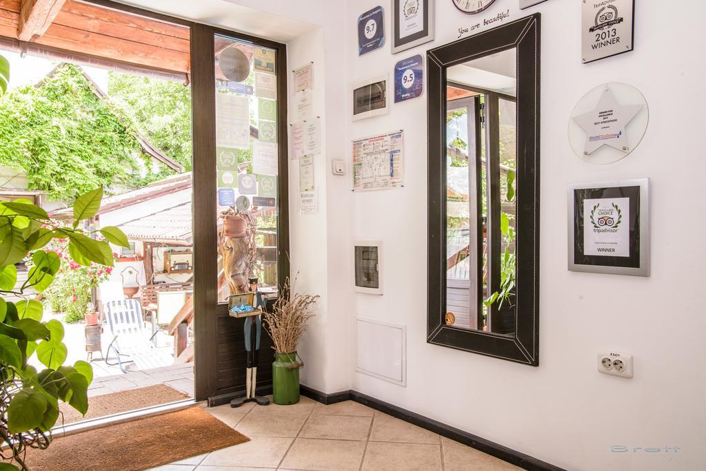 Pensiunea La Despani Braşov Extérieur photo