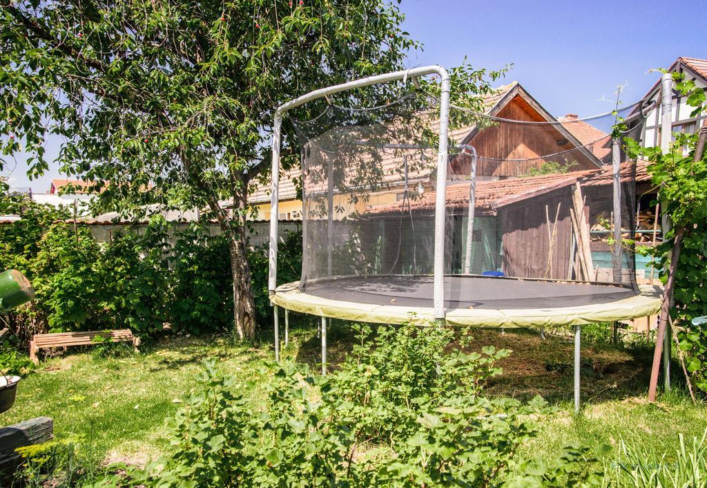 Pensiunea La Despani Braşov Extérieur photo