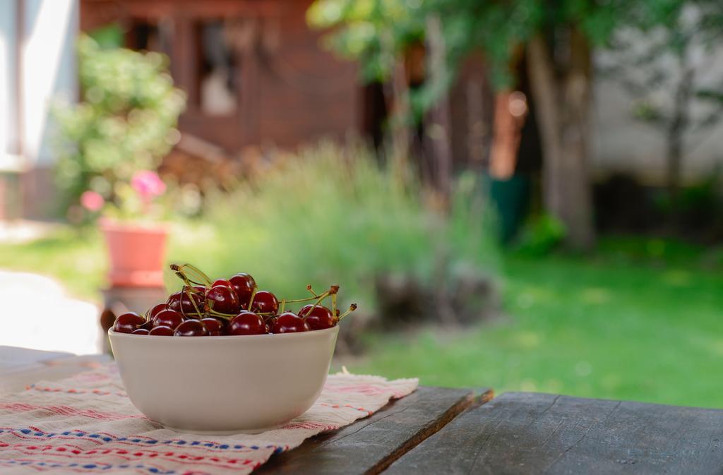 Pensiunea La Despani Braşov Extérieur photo